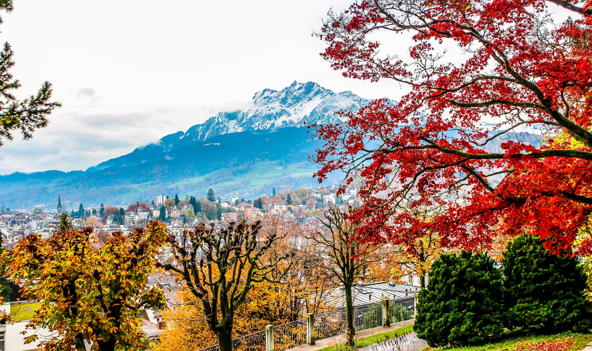View Lucerne in Autumn